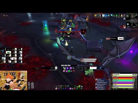 Castle Nathria - Løst Heaven vs Shriekwing Mythic (Affliction Warlock PoV)