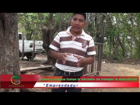 Emprendimiento En Apicultura