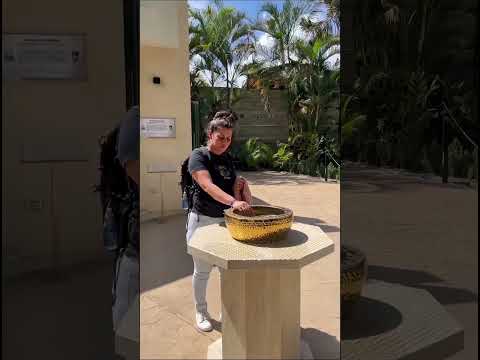 En las montañas de El Hatillo existe un lugar donde el peso del corazón se vuelve ligero🤍 #venezuela