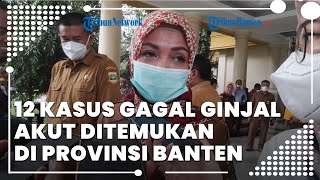 12 Kasus Gagal Ginjal Akut Ditemukan di Provinsi Banten, Total 6 Pasien Meninggal