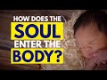 How And When Does The Soul Enter The Human Body & Where Does It Reside| Daaji | Heartfulness