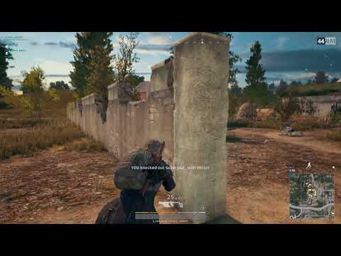 Silenced Vector Goes Off - PUBG