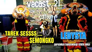 Download lagu TAREK SESSSSS - NEW LEDYSTA GROJOKAN BANYUWANGI (DIDIN MKA) mp3 Download lagu TAREK SESSSSS - NEW LEDYSTA GROJOKAN BANYUWANGI (DIDIN MKA) mp3