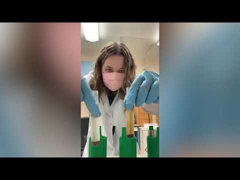 Soil carbon and nitrogen analyses in our Environmental Stable Isotope Laboratory