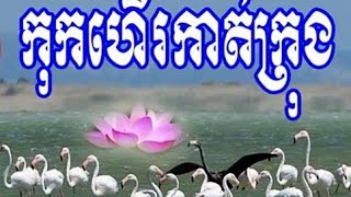 កុកហើរកាត់ក្រុង ច្រៀងដោយ  អុិន សារ៉ាត់