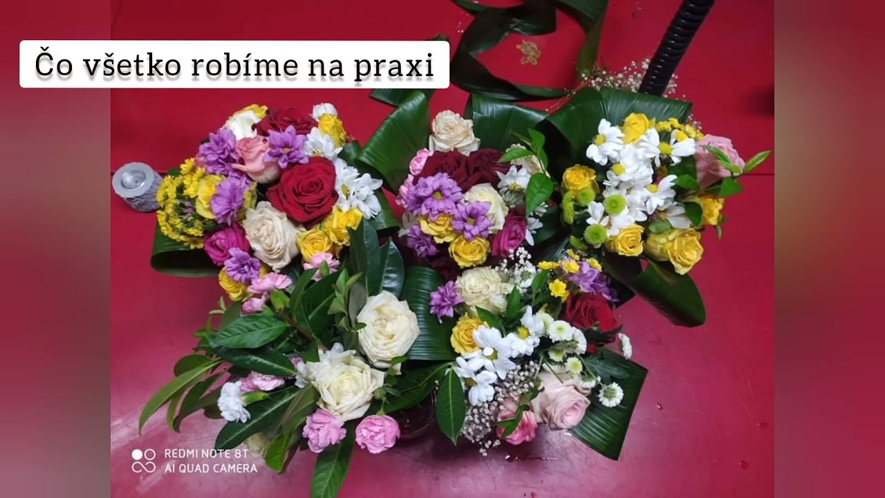 Študijné odbory