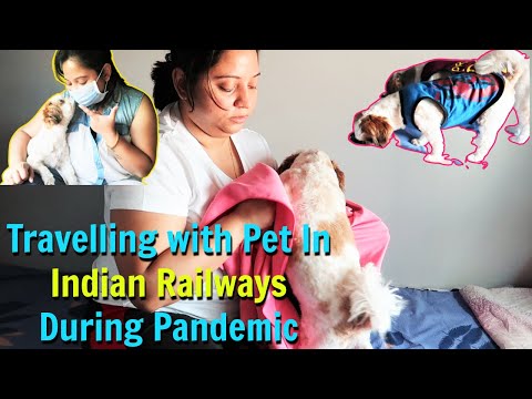 Our Experience - Travelling with Pet In Indian Railways During Pandemic Video