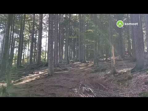 Zwieselerwaldhaus   Kleiner Falkenstein   Großer Falkenstein – Ruckowitzschachten   #MyKomootStory