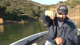 Bait Fishing (Night Crawlers)