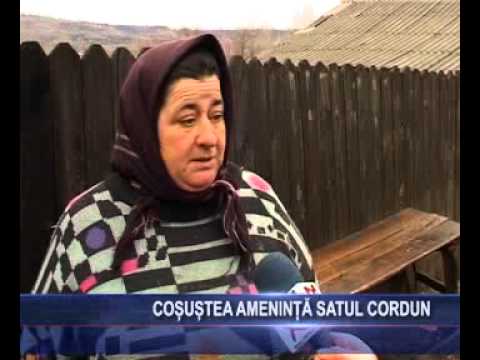 COSUSTEA AMENINTA SATUL CORDUN