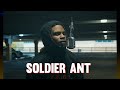 Off Da Top Soldier Ant