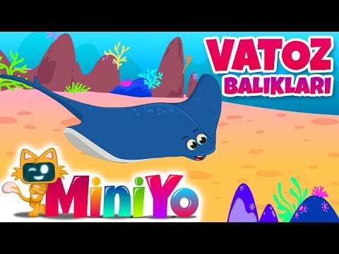 Vatoz Balıkları Şarkısı | Su Altı Şarkıları Bölüm 4