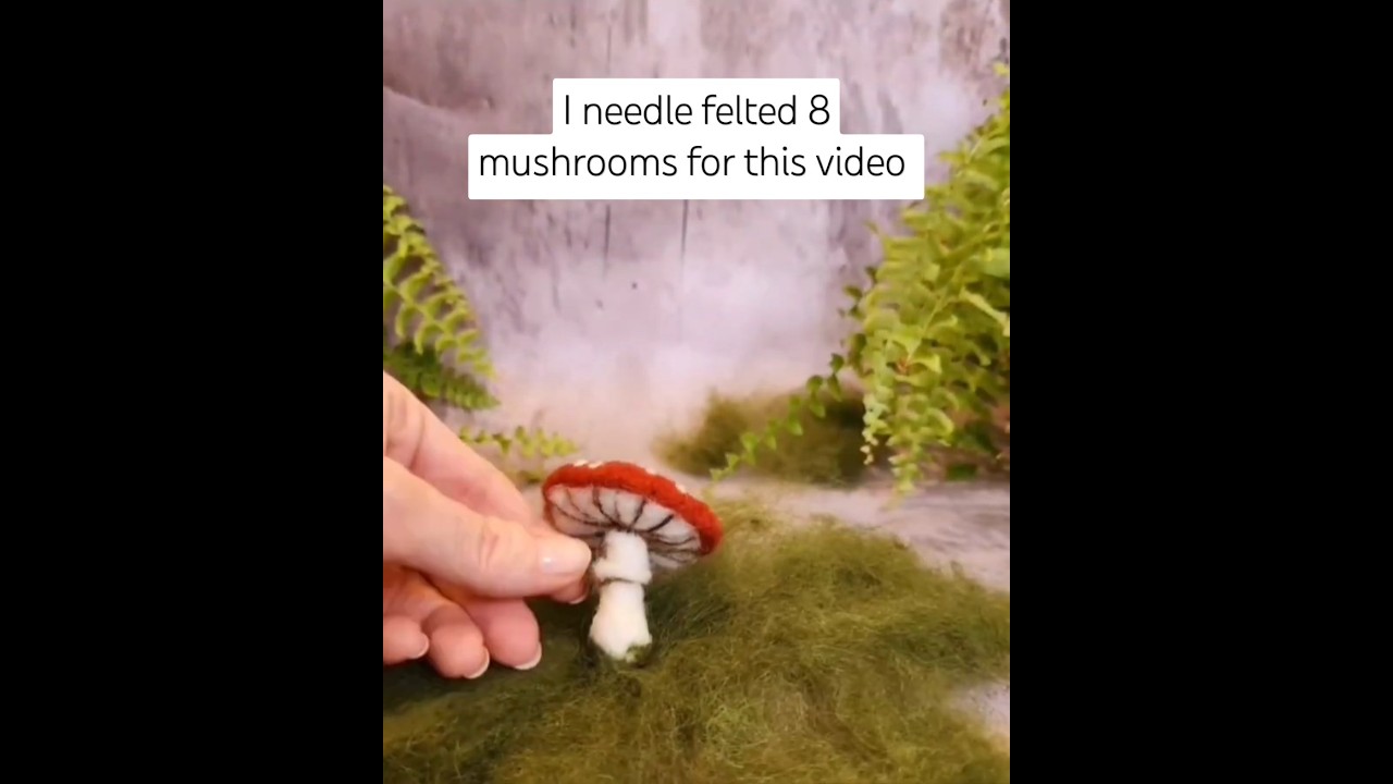 Animating my felt mushroom ornaments felted stop motion timelapse #needlefelting #stopmotion