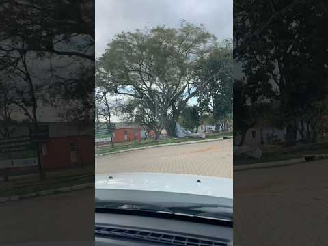 Chegando no Cancelão,bairro de Piratini RS,terra dos meus avós maternos ❤️