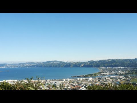 This is Wellington Water