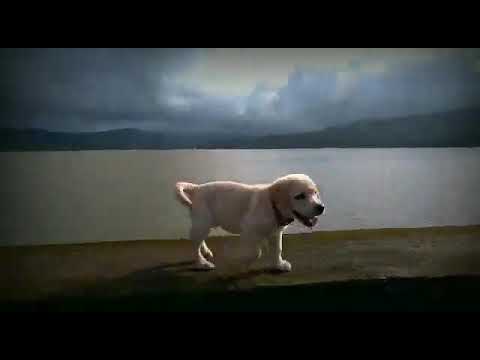 9 ડિસેમ્બર, 2020