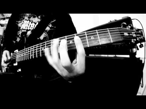 Shadow of the Colossus - Amygdala (Play-Through Music Video)