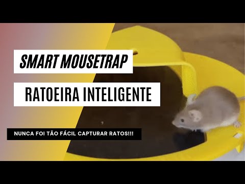 Ratoeira Inteligente | Smart Mousetrap | Armadilha Para Ratos