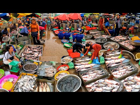 Cambodia Freshwater Fish Market Distribution, Wet Markets, Rich in abundant Fish