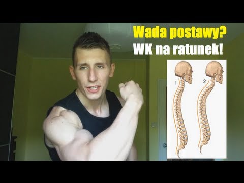 Łącząc kulturystyki i pływania Mięśnie Imię i ich funkcje