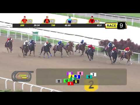 Bold Thruster - 08/12/2019