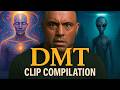 The Joe Rogan "DMT" Experience (100 Clip Compilation)