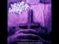 Infant Annihilator - Torn from the Womb ...