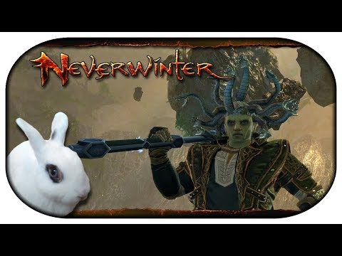 NEVERWINTER: Paladin-LP 🐇 95 - Ab mit seinem Kopf