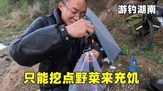 游钓湖南鱼情糟糕一直空军，无奈只能挖点野菜来充饥，比去菜市场买划算多了【真男人老黄】