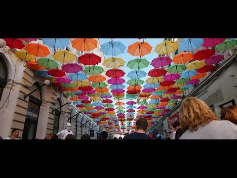 Timfloralis Timisoara 24-26 aprilie 2020