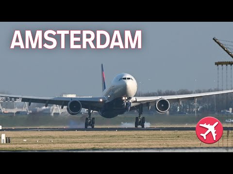 AMSTERDAM  close up landings | Dreamliners, B777s and A330s  | Polderbaan spotting location
