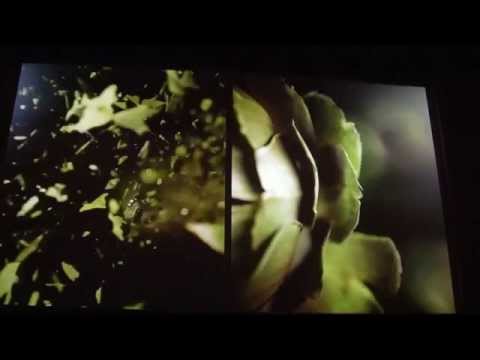 download lagu mp3 mp4 Ferran Adri Biografia, download lagu Ferran Adri Biografia gratis, unduh video klip Ferran Adri Biografia