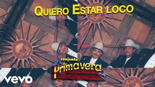 Quiero Estar Loco Lyrics English Translation