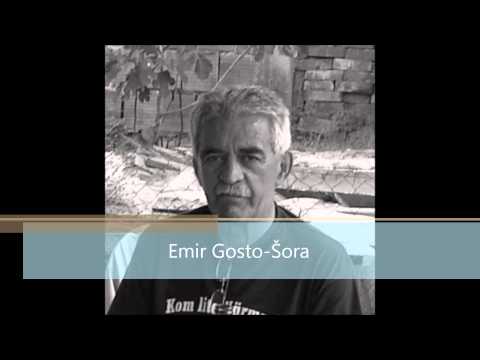 Emir Gosto-Šora  -  U godini jedan dan