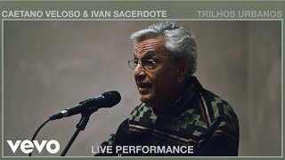 Trilhos Urbanos Lyrics English Translation