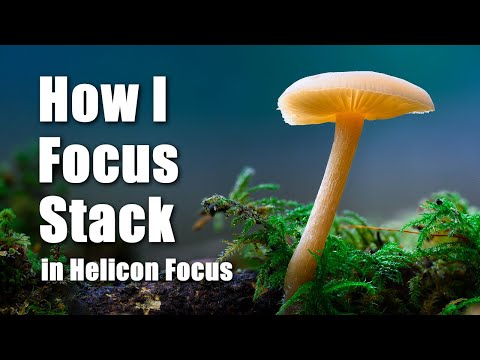 How I Focus Stack in Helicon Focus