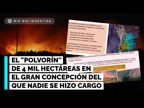Catástrofe anticipada: el "polvorín" en el Gran Concepción del que nadie se hizo cargo