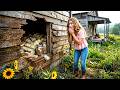 Thrown Out At 18 She Inherited Grandpa S Forgotten Cabin What Was Hidden In The Walls