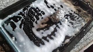 Karbonat ile kurumuş fırın tepsilerini kolayca temizleme