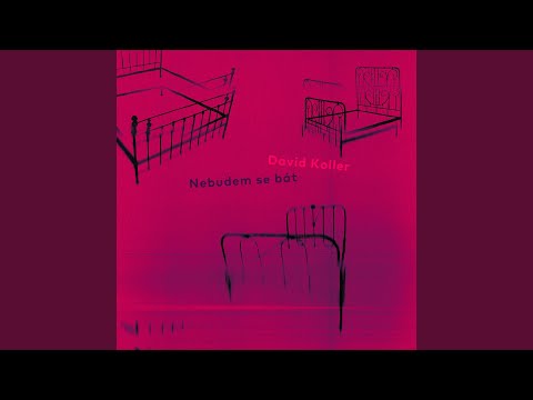Nebudem se bát