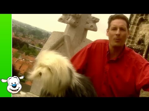 Samson & Gert - Bim bam bom