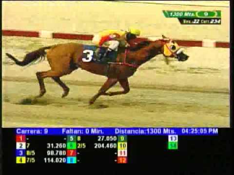 Resumen Sábado, 26 de Marzo de 2016 - La Rinconada