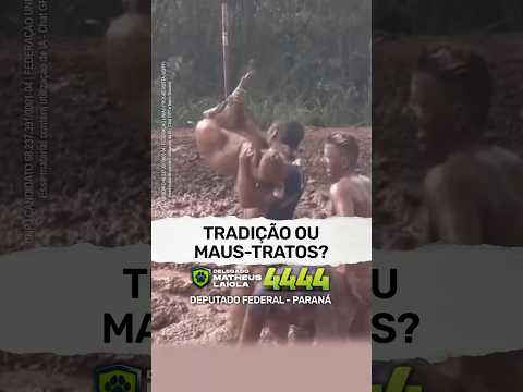 TRADIÇÃO OU MAUS-TRATOS?