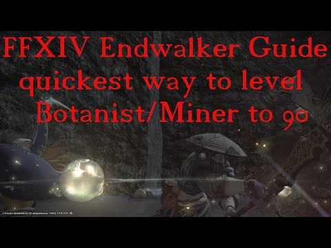 FFXIV Endwalker quickest way to level your gatherers 80-90