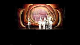 Los que salimos por gusto – Segunda Semifinal – COAC 2005