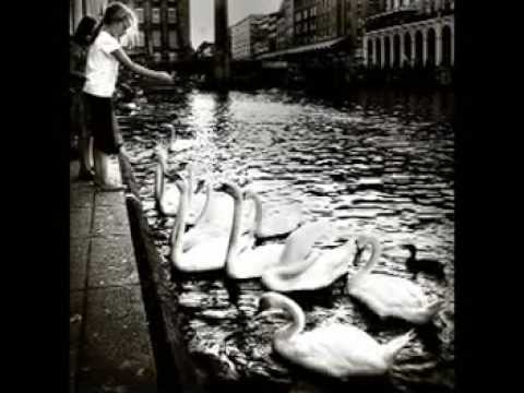 Swans - Green Empathy