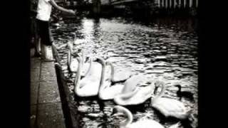 Swans - Green Empathy