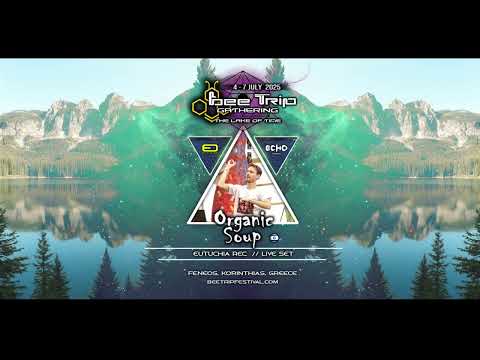 Organic Soup - Bee Trip Festival Set 2025
