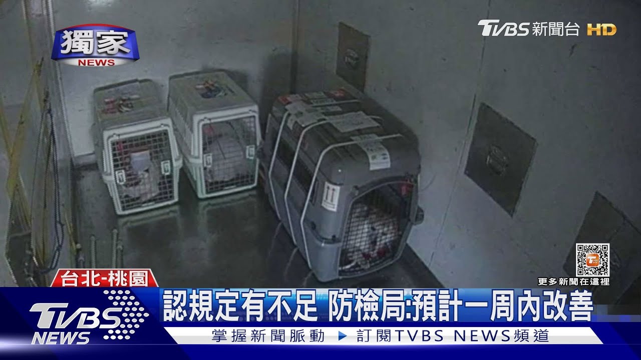太熱?剛抵台 狗送隔離途中「中暑不治」