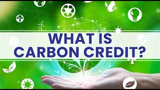 What is Carbon Credit?  How Do I Get Carbon Credit? Sustainability